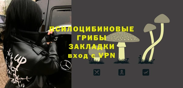 a pvp Абаза