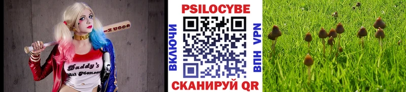 Псилоцибиновые грибы мицелий  продажа наркотиков  Усть-Кут 